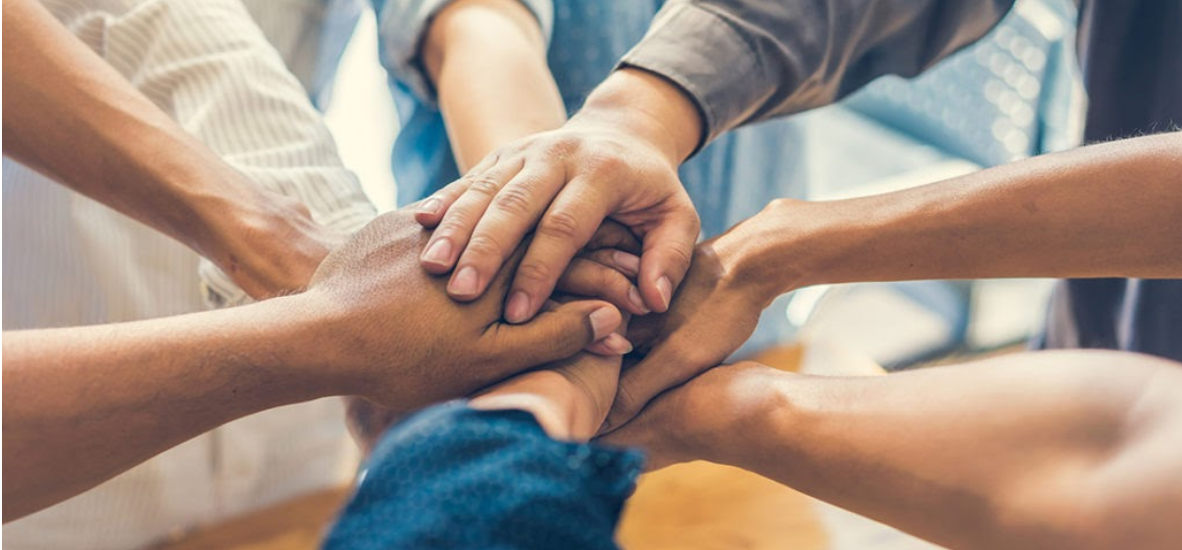 Parceria e Solidariedade